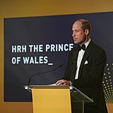 Princ William na pedvn cen Diana Legacy Awards