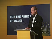 Princ William na pedávání cen Diana Legacy Awards