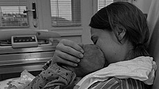 Nikola �echová alias Shopaholic Nicol porodila syna Huga.