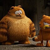 Garfield ve filmu