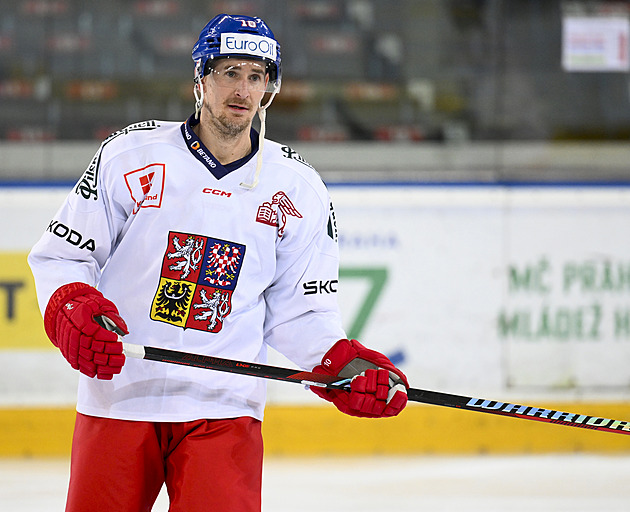 Hokejová reprezentace na sítích drtí tu fotbalovou. Její profily mají čísla, o kterým se fotbalistům může jen zdát