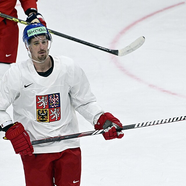 Roman ervenka.