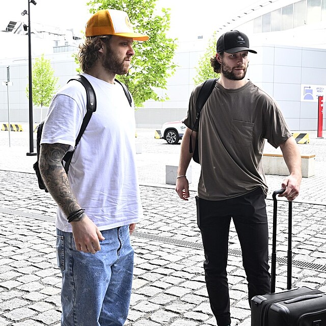 David Pastrk, Pavel Zacha