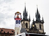 Oslavy �eské repre na podiu