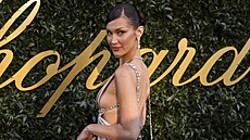 Bella Hadid