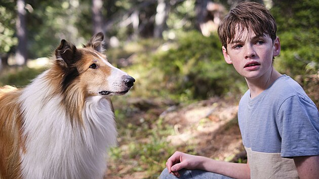 Lassie: Nové dobrodruství