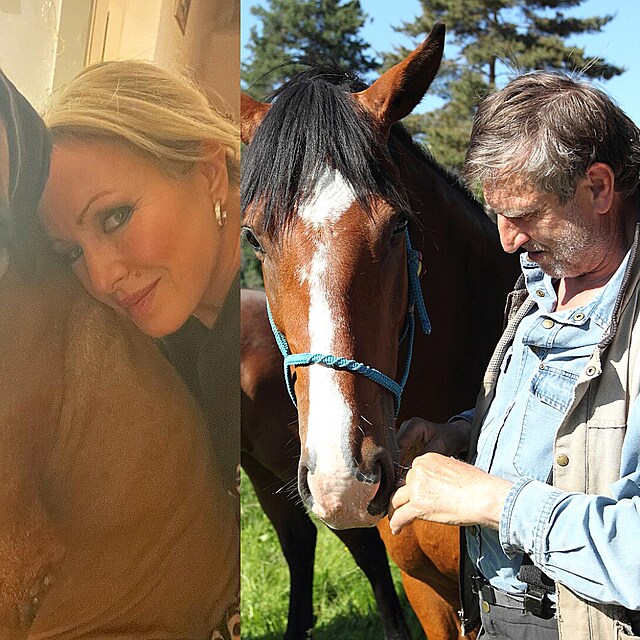 Zn�m� tv��e, kter� p�i�ly o milovan� mazl��ky