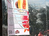 Festivaly? Letos bezpen, Konsent a Desperados bojují proti sexuálnímu...