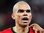 Pepe ukon�il svou profesionální fotbalovou kariéru. Jako profesionál odehrál...