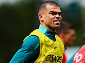 Pepe ukon�il svou profesionální fotbalovou kariéru. Jako profesionál odehrál...