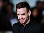 Liam Payne se proslavil zejména jako �len britského boybandu One Direction.