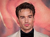 Zem�el zp�vák Liam Payne z One Direction. Bylo mu 31 let.