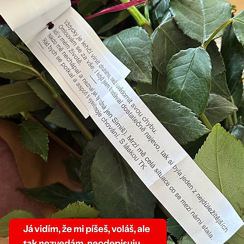 Sugar Denny vs. Tadeáš Kuběnka 2.0: usmířit se Kuběnka prý nechce, reaguje i jeho matka