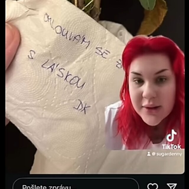 Fakeov� omluva Lenky Kub�nky.