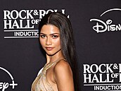Zendaya na galave�eru.