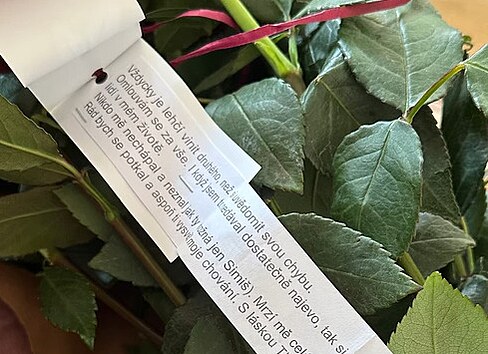 Tade� Kub�nka se chce usm��it s Sugar Denny