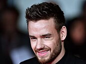 Liam Payne m�l strávit noc s �í�níkem