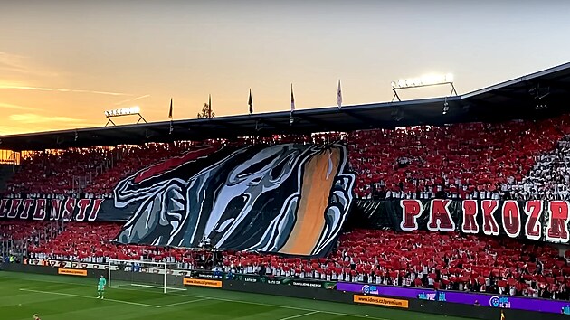 Chorea Slavie