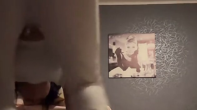 Opil matka se na streamu snaila obejmout dceru. Ta prosila, a ji nech a divci pr kontaktuj sociln pracovnky