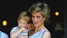 Princezna Diana a princ Harry