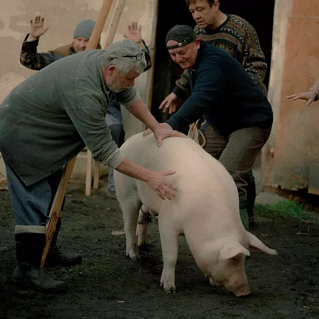 Mord reisra Adama Martince