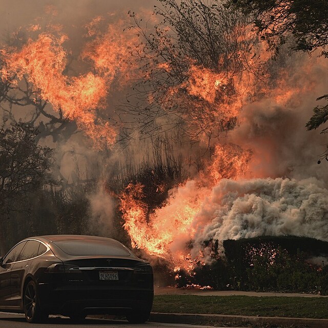 Po��ry v Kalifornii