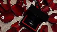 Oslava narozenin Natálie Ko�endové.