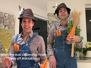 David Dobrik