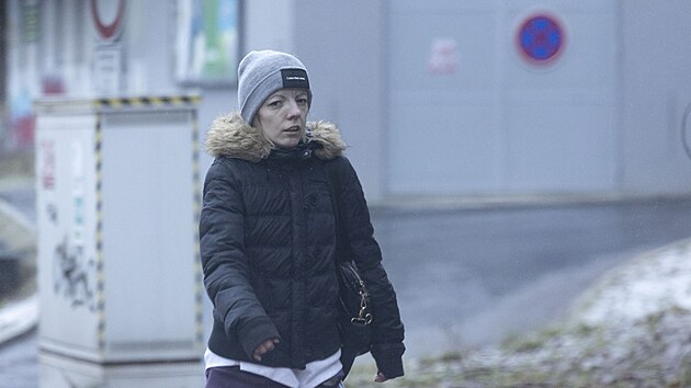 Shopaholicadel pev na ubytovn v Jablonci.
