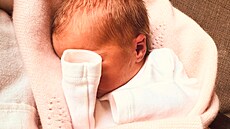 Britská královská rodina se pochlubila o radostnou novinku