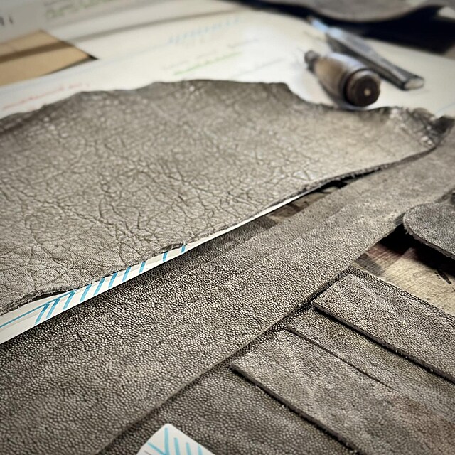 Bra�n��stv� Tlust� nab�z� pen�enky ze slona africk�ho. Pr� je to v po��dku, proto�e je p�emno�en.