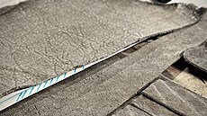 Bra�ná�ství Tlustý nabízí pen�enky ze slona afrického. Prý je to v po�ádku,...