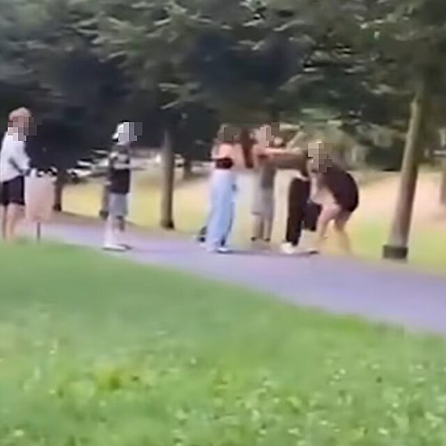 Z�b�ry z �ikany v Kobe�ic�ch