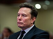 Elon Musk má mít 13. dít s konzervativní influencerkou