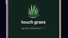 Touch grass aplikace