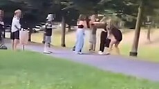 Záb�ry z �ikany v Kobe�icích