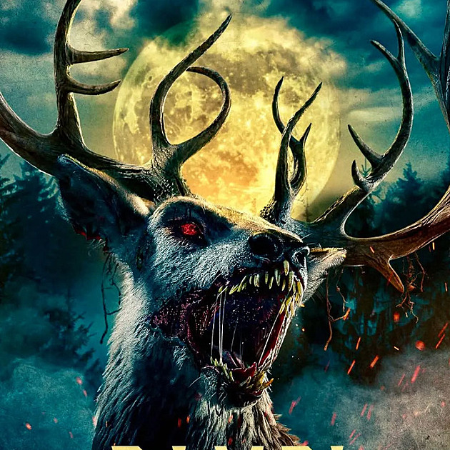 Nový horor Bambi: The Reckoning udělá z kolouška zabijáka. Diváci podle traileru očekávají akční propracovanou podívanou