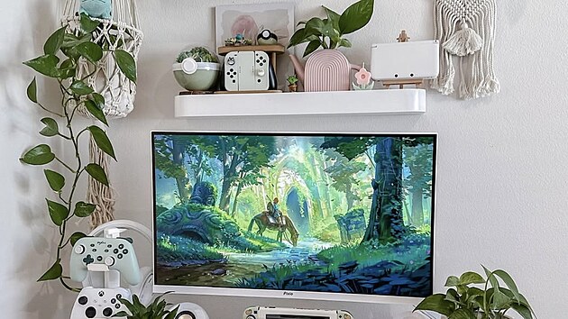 Hrac kout hrky cosy games
