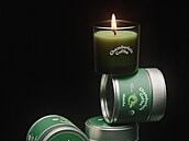 Matcha od Chamberlain Coffe