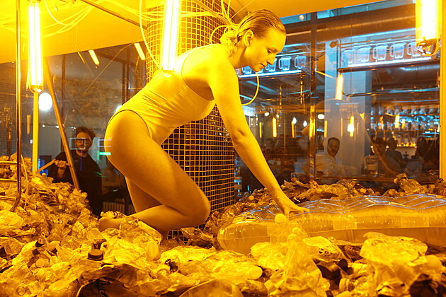 V�stava Tom�e Rach�nka o budoucnosti plastu v oce�nech