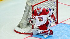 Karel Vejmelka