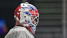 Karel Vejmelka