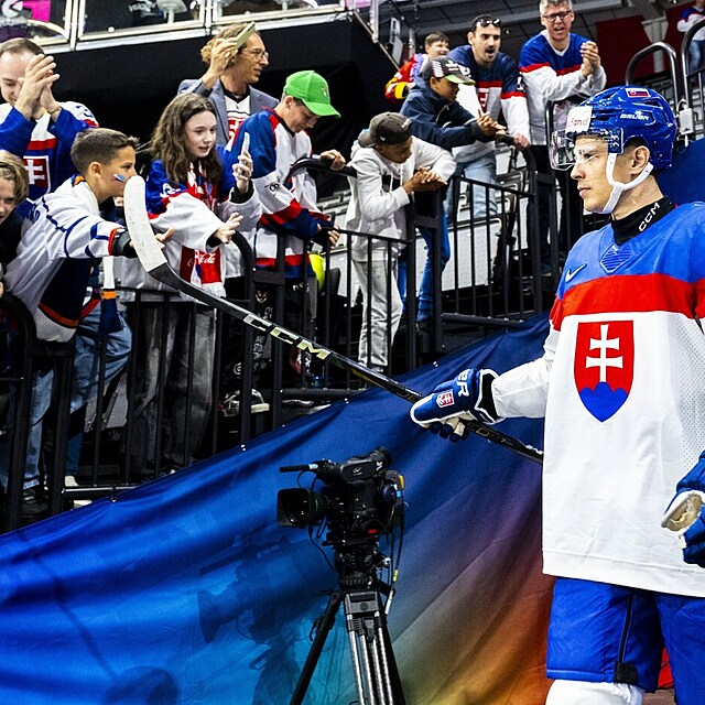 Slovensk reprezentace na mistrovstv svta.