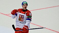 Kapitán Roman �ervenka slaví branku proti �výcarsku.
