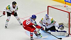 Zápas esko - Maarsko, David Pastrák dává gól