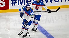 Slovenská reprezentace na mistrovství svta.