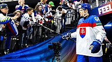 Slovenská reprezentace na mistrovství svta.