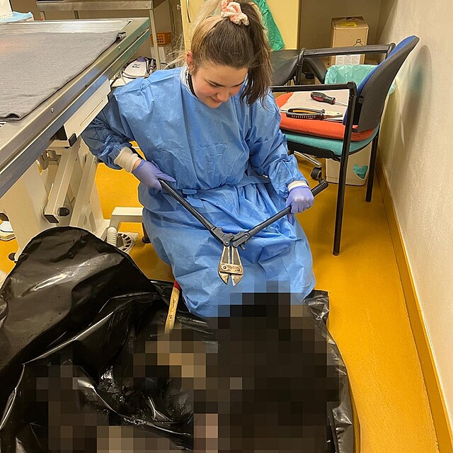 Recep�n� kliniky, kter� u�ez�vala ��sti t�l zv��at