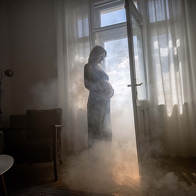 Hance T�e�t�kov� t�hotenstv� slu��. Uk�zala b��ko t�sn� p�ed porodem!