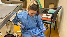 Recep�ní kliniky, která u�ezávala �ásti t�l zví�at